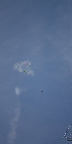 2012 Svojek mirek patek